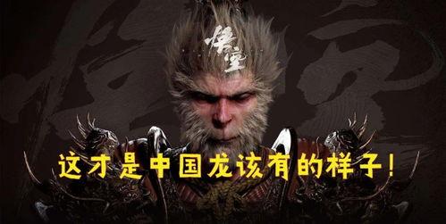 中国龙爆料视频,独家爆料视频深度解析